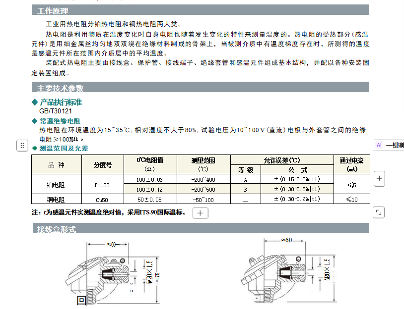 Assembled RTD (Resistance Temperature Detector)