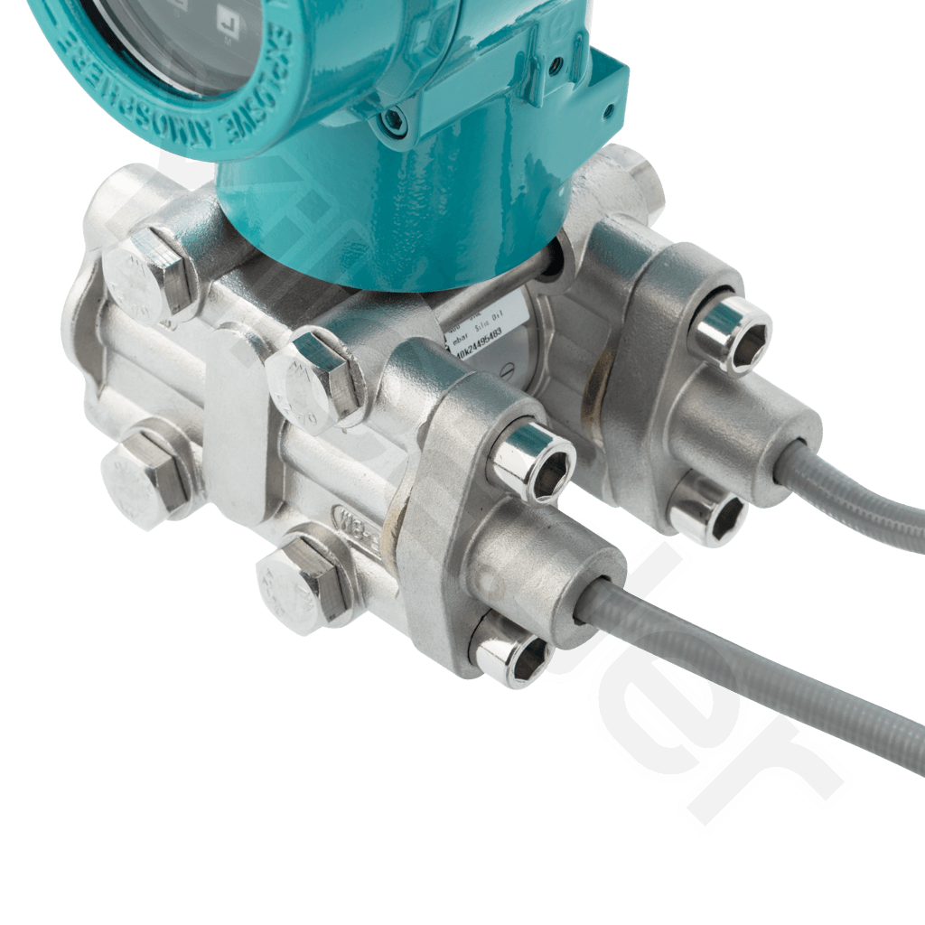 Dual Flange Differential Pressure Transmitter