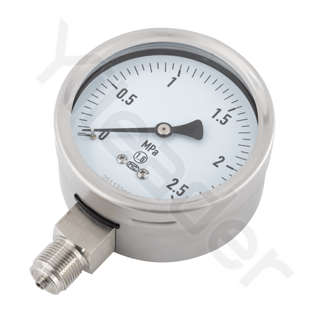 Pressure Gauge