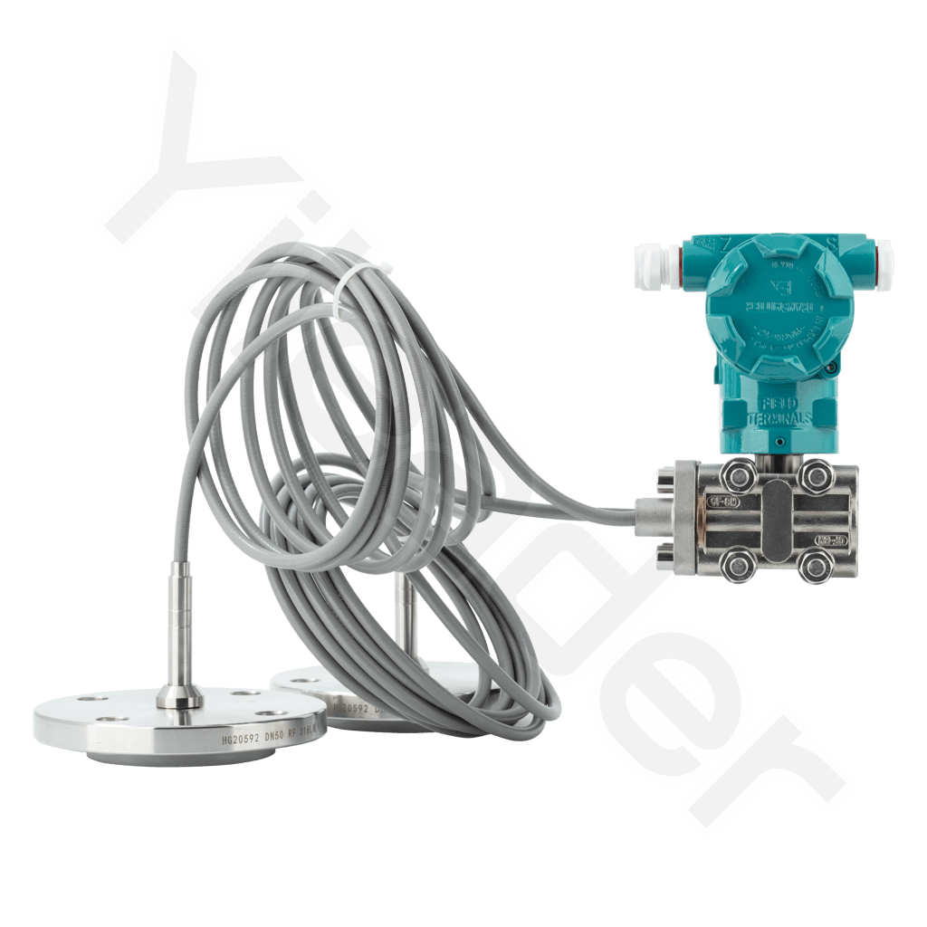 Dual Flange Differential Pressure Transmitter
